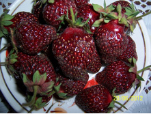 ��������� ��������� (6��) - 117�.jpg