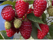 ������ �������� ������ - 140,40�.jpg