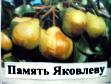 ������ ��������.jpg