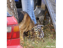 ������ ���� �� ������ ������� �����