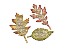 ����� ��� ������� Tattered Leaves, Tim Holtz Alterations_898�.jpg