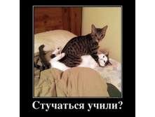 25343148_stuchatsya-uchili.png