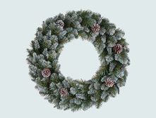 73848_����� ������� ����������� ����������� � ������� ������� 60 ��_655 ���.jpg