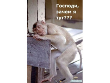 ����� � ���.jpg