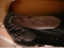 ������ �����, ������, ��� �����, ��� ����� �� ������