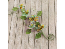 ������� Gracie Vine, ��������� Sun Kiss_188�.jpg