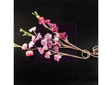 ������� Aire Collection, ��������� �����_215�.jpg