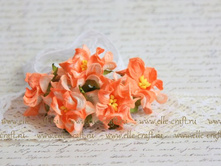 �������� ����������� ����������_30�.JPG