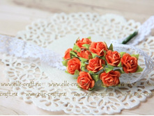 ������� 10 ��, ���� ���������_30�.JPG