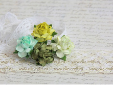 ���� Cottage Roses 25 ��, ���� - ������� ����_32�.JPG