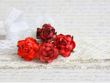 ���� Cottage Roses 25 ��, ���� - ������� ����_32�.JPG