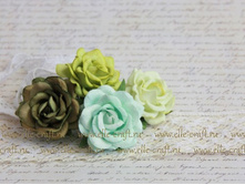 ���� Trellis Roses 35 ��, ���� - ������� ����_48�.JPG