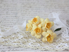 ����� Cherry Blossoms ������_28�.JPG