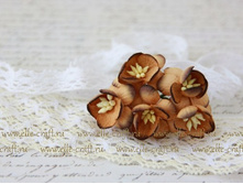 ����� Cherry Blossoms ��������_28�.JPG