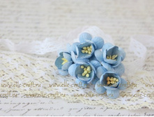 ����� Cherry Blossoms ������-�������_28�.JPG