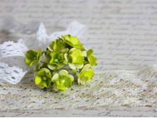 ����� Sweetheart Blossoms ����������� �������_29�.JPG