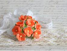 ����� Sweetheart Blossoms ����������� ����������_29�.JPG