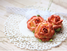 ������ ���� 35 ��, ���� ���������_35�.JPG