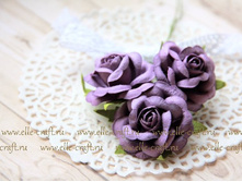 ������ ���� 35 ��, ���� ���������_35�.JPG