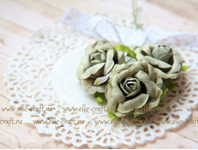 ������ ���� 35 ��, ���� �����������_35�.JPG