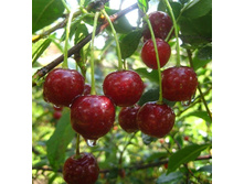 ����� ������������ 200�