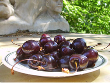 ������� ������� 230�