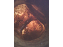 ���������� ������� (���������)