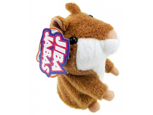 �����-���������� ����������.jpg