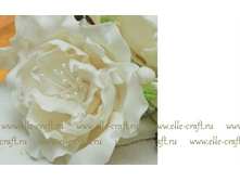 ������� ��� ����� ������ Bakels Flower paste ����� 500�_288�.jpg