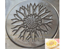 ��� ��� ������ �������� ��������� � ������� Camomile_85�.JPG