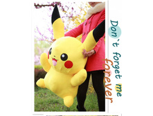 ������ - 80 ��  850�..jpg