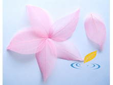 ����� (10 ��.)1.jpg  81�.