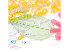 ����� (10 ��.)2.jpg