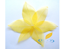 ����� (10 ��.)3.jpg