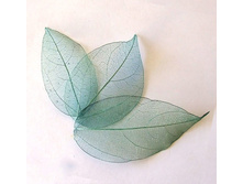 ����� (10 ��.)5.jpg