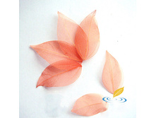 ����� (10 ��.)7.jpg