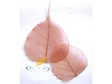 ����� (10 ��.)1.jpg