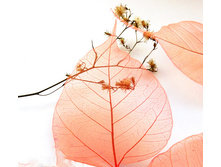 ����� (10 ��.)2.jpg