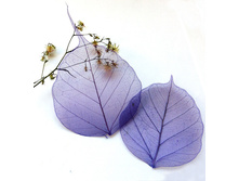 ����� (10 ��.)3.jpg