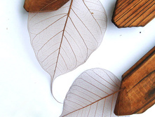 ����� (10 ��.)4.jpg