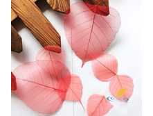 ����� (10 ��.)5.jpg