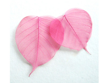 ����� (10 ��.)6.jpg