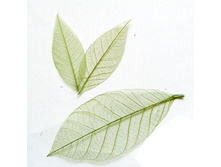 ������ (10 ��.).jpg