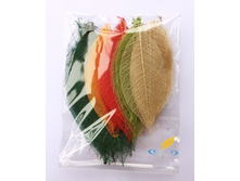 ������ (10 ��.)1.jpg