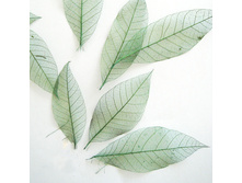 ������ (10 ��.)3.jpg