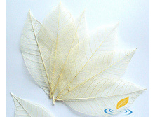 ������ ����� (10 ��. �������)  88�.  ������ ������� 13-16 ��..jpg