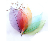 �������� (10 ��.)  81�. �������, �������, ���������, �����, ����������.jpg