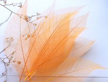 �������� (10 ��.)1.jpg