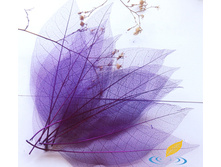 �������� (10 ��.)4.jpg