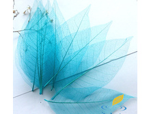 �������� (10 ��.)5.jpg